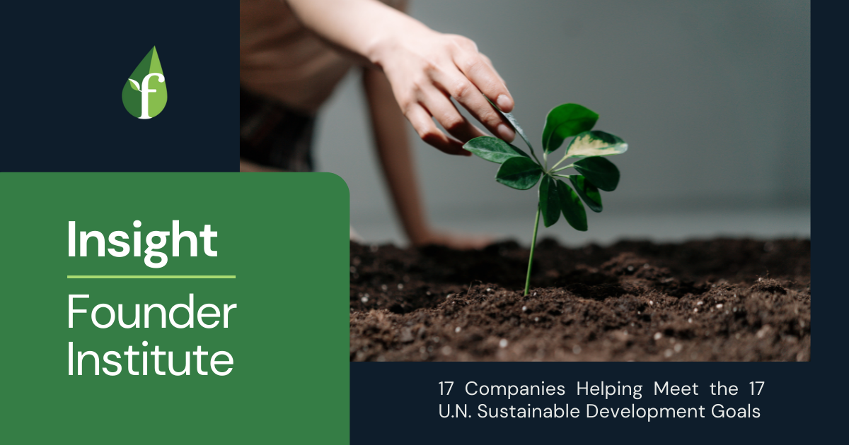 17 Companies Helping Meet the 17 UN Sustainable Development Goals